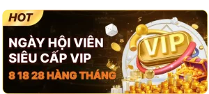 Ngày hội siêu cấp VIP